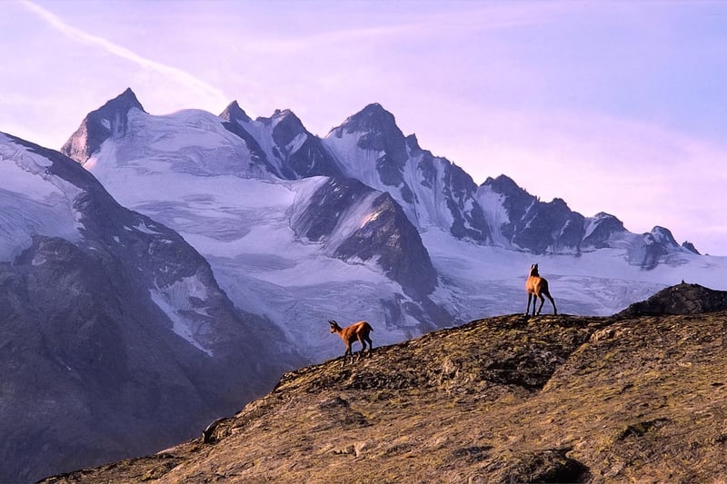 High-altitude Challenges